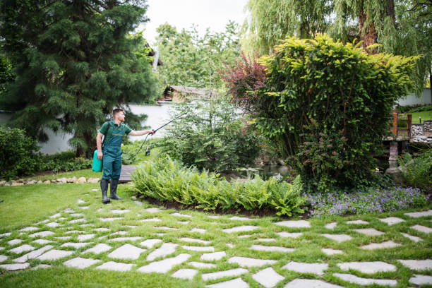Best Ant Control Services  in Stonewall, LA