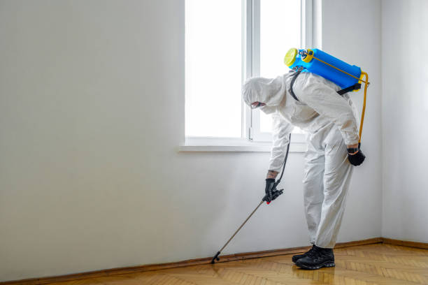 Best Pest Control Near Me in Stonewall, LA