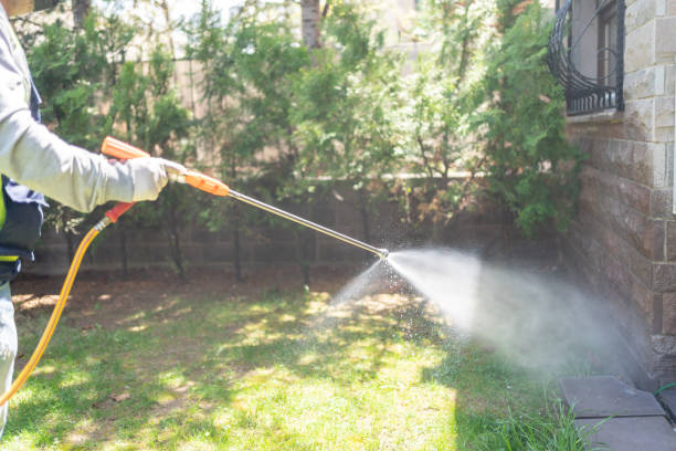 Best Pest Prevention Services  in Stonewall, LA