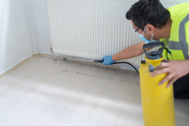 Wasp Removal Services in Stonewall, LA